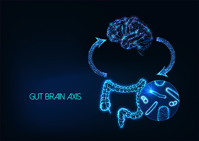 Gut-Brain Connection