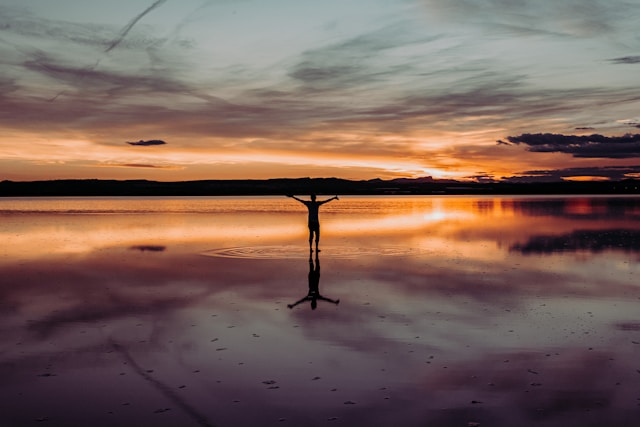 The Healing Power of Psychoanalysis The Healing Power of Psychoanalysis