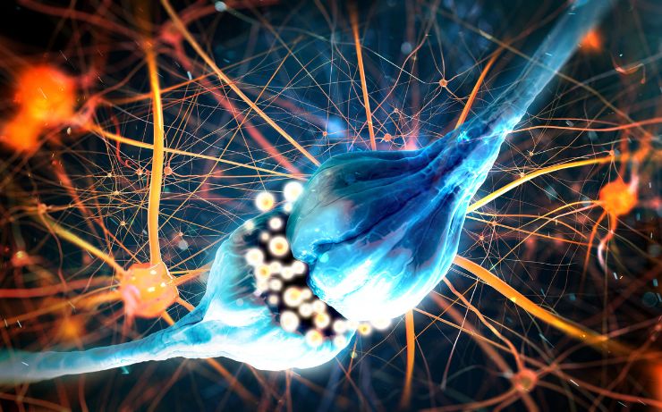 001 Nervous System 001 Nervous System