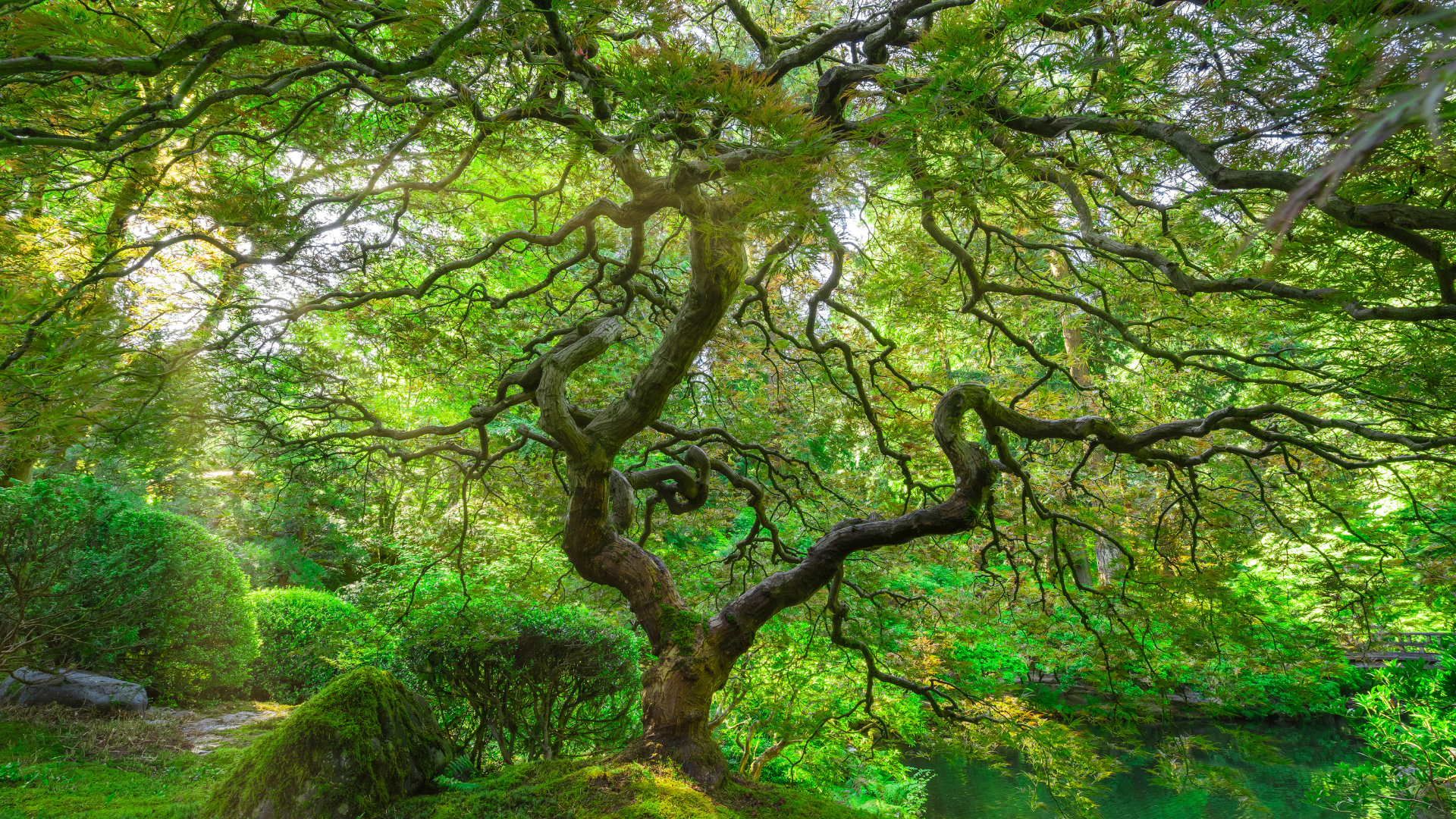 Can You Stay Grounded and Agile at the Same Time?